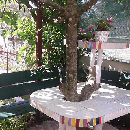 Apartamento Eleni Tivat Exterior foto