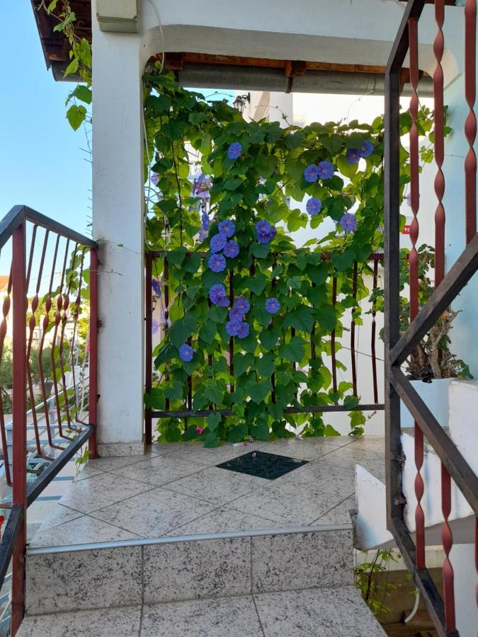 Apartamento Eleni Tivat Exterior foto